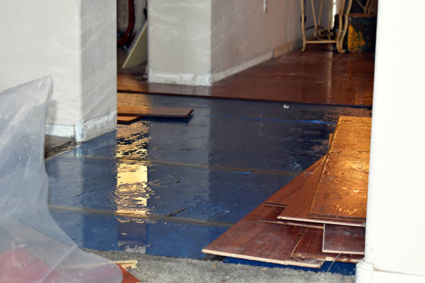 Professional Flood Damage Restoration technician working in Three Rivers, CA